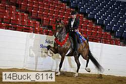 14buck_6114 proof