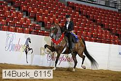 14buck_6115 proof