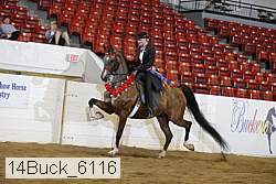 14buck_6116 proof