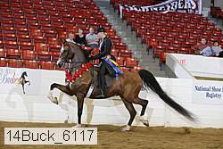 14buck_6117 proof