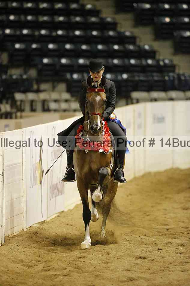 Proof 14buck_6118