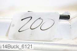 14buck_6121 proof