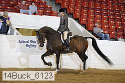 14buck_6123 proof