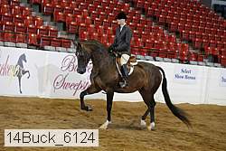 14buck_6124 proof