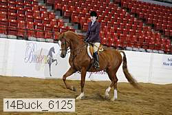 14buck_6125 proof