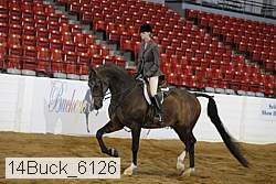 14buck_6126 proof