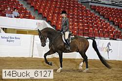 14buck_6127 proof
