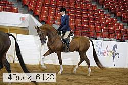 14buck_6128 proof