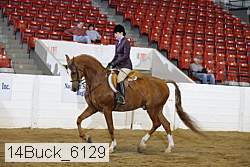 14buck_6129 proof