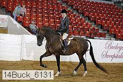 14buck_6131 proof