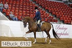 14buck_6132 proof