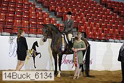 14buck_6134 proof