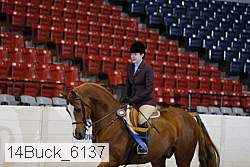14buck_6137 proof