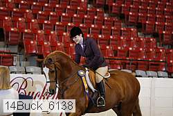 14buck_6138 proof