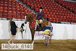 14buck_6140 proof