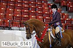 14buck_6141 proof