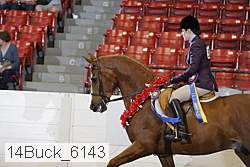 14buck_6143 proof