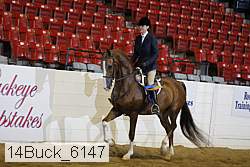 14buck_6147 proof