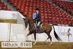 14buck_6148 proof