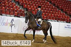 14buck_6149 proof
