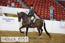 14buck_6151 proof