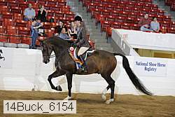 14buck_6154 proof