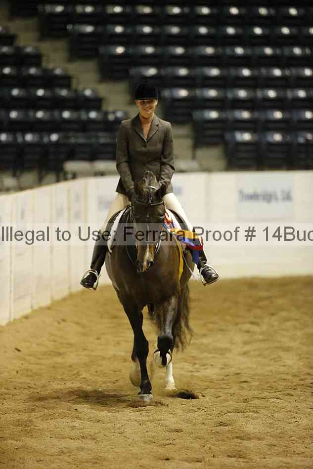 Proof 14buck_6156