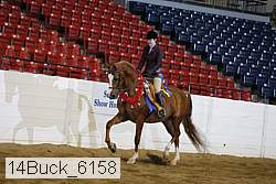 14buck_6158 proof