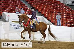 14buck_6159 proof