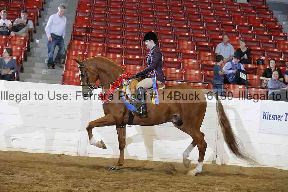 Proof 14buck_6160