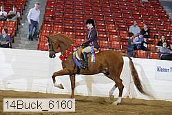 14buck_6160 proof