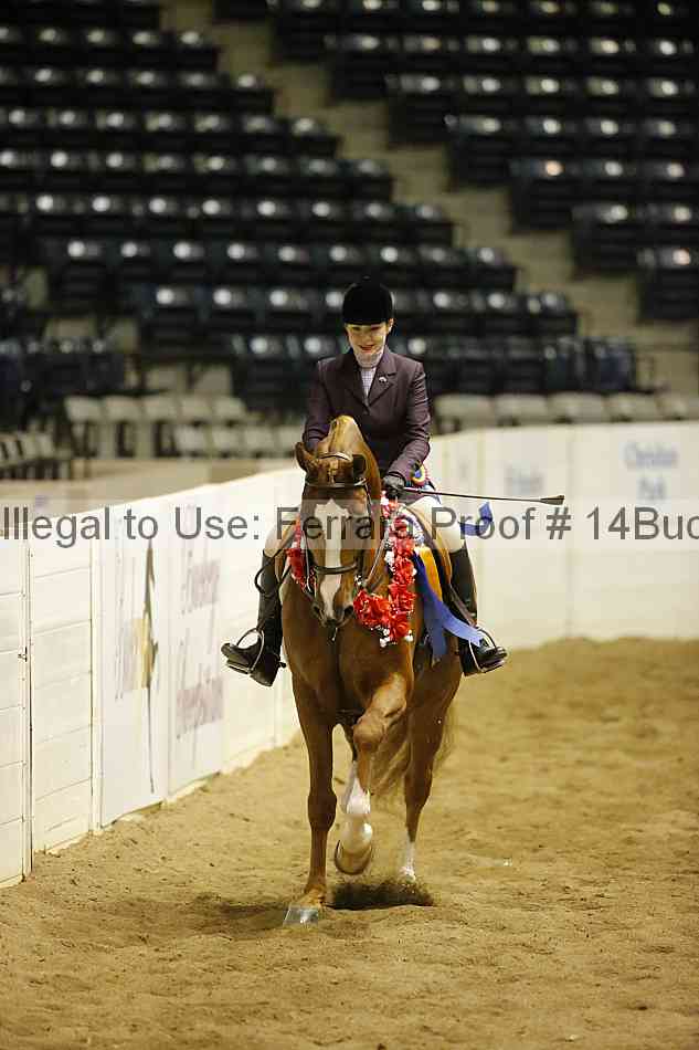 Proof 14buck_6162