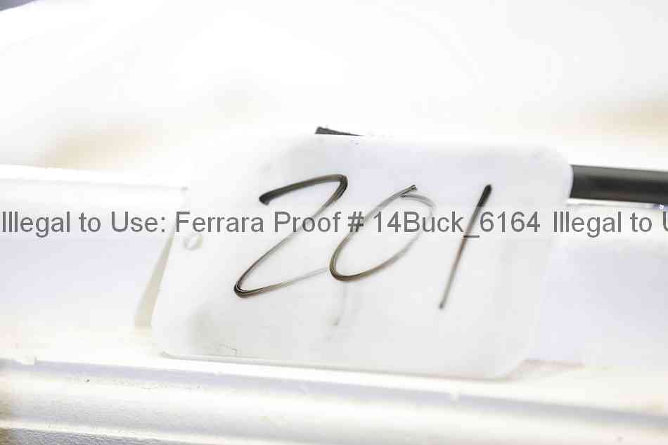 Proof 14buck_6164
