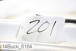 14buck_6164 proof