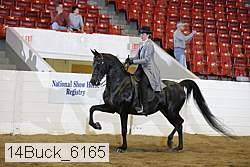 14buck_6165 proof