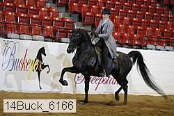14buck_6166 proof