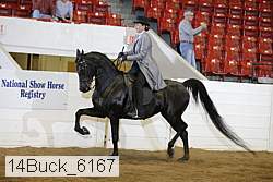 14buck_6167 proof
