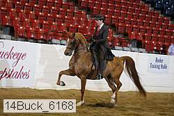 14buck_6168 proof