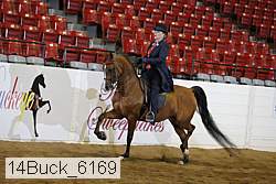 14buck_6169 proof