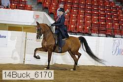 14buck_6170 proof