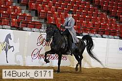 14buck_6171 proof