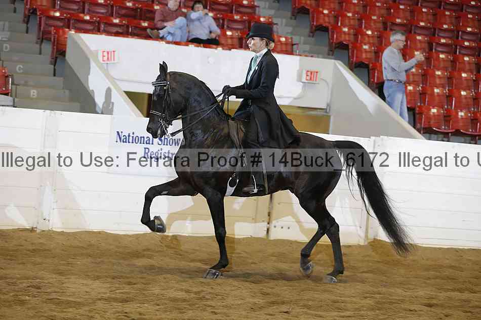 Proof 14buck_6172