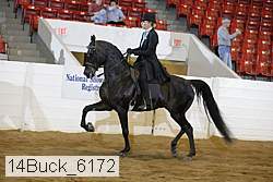 14buck_6172 proof