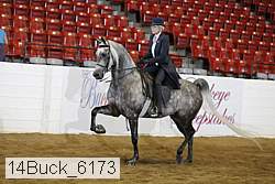 14buck_6173 proof