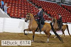 14buck_6174 proof