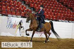 14buck_6175 proof
