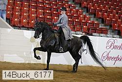14buck_6177 proof