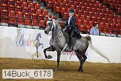 14buck_6178 proof