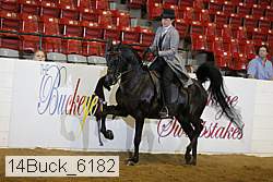 14buck_6182 proof