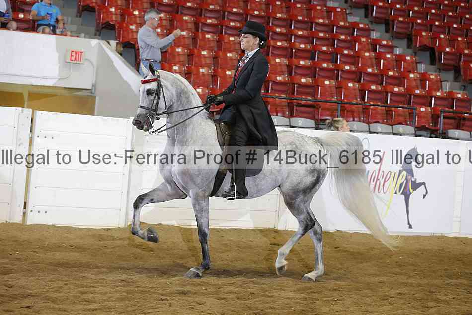 Proof 14buck_6185